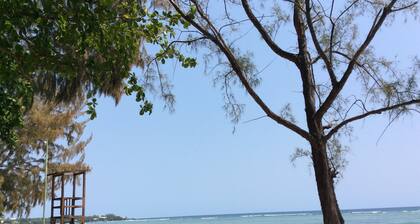 Alquiler de apartamento nuevo en residencia