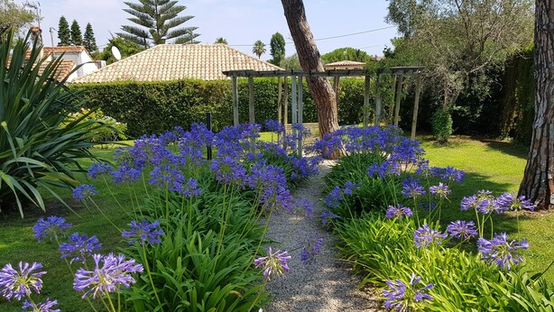 Property grounds - IN THE HEART OF CAP D'ANTIBES Near the Garoupe beaches (Antibes)