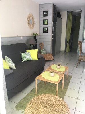 TV, video games, DVD player, table tennis - Appt classified 4 *, 2 swimming pools, free WIFI, terrace, bbq, edge of the marine lake (Vieux-Boucau-Les-Bains)