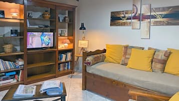 Televisio, takka, DVD-soitin, pöytÀtennispöytÀ