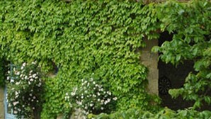 A garden with a stone wall, white tables, and white chairs. - Autan roses, Character Cottage in Lauragais Auriac / Vendinelle (Auriac-Sur-Vendinelle)