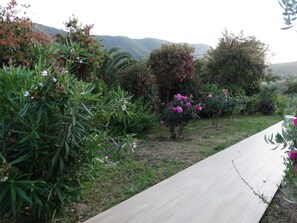 Property grounds - T2, air-conditioned ground floor villa in la Campagne, near Ajaccio, 8/4 m pool. (Afa)