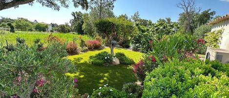 Overnattingsstedets uteområder