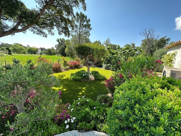 Áreas de la propiedad