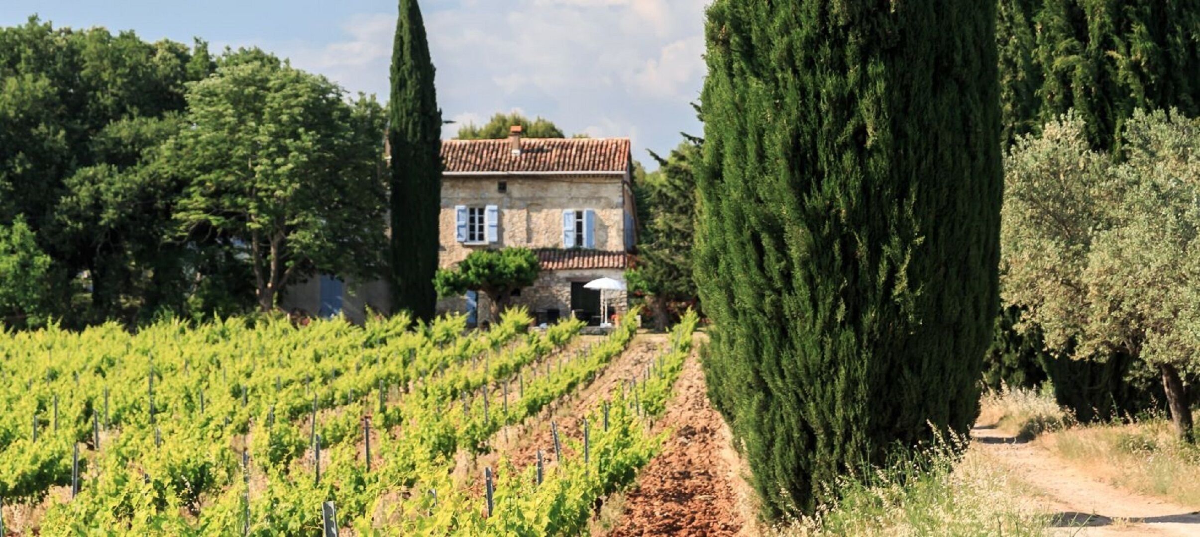 Superb 18th century farmhouse with swimming pool in the heart of a wine estate