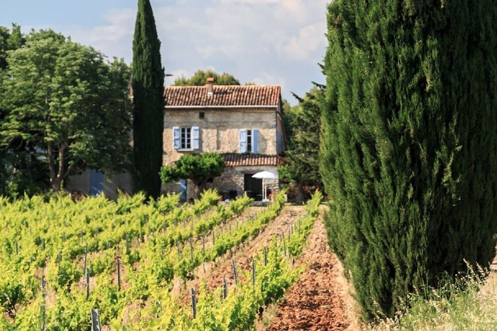 Superb 18th century farmhouse with swimming pool in the heart of a wine estate