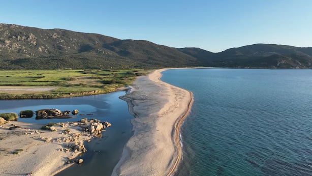 A coastal landscape with a sandy beach, a calm sea, and green hills in the background. - Bungalow Philippi Maurea 5 (air-conditioned )300 meters from the beach. (Belvédère-Campomoro)