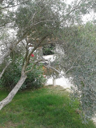 Gîte du Petit Mandon-Arles-Crau-Camargue: une maison pour 5 personnes avec spa