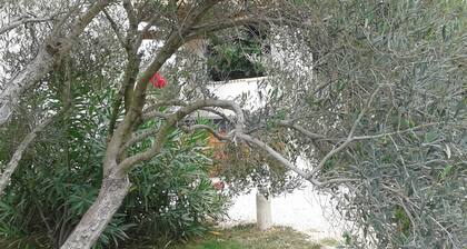 Gîte du Petit Mandon-Arles-Crau-Camargue: a house for 5 people with spa