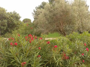 المنطقة المحيطة بالمنشأة