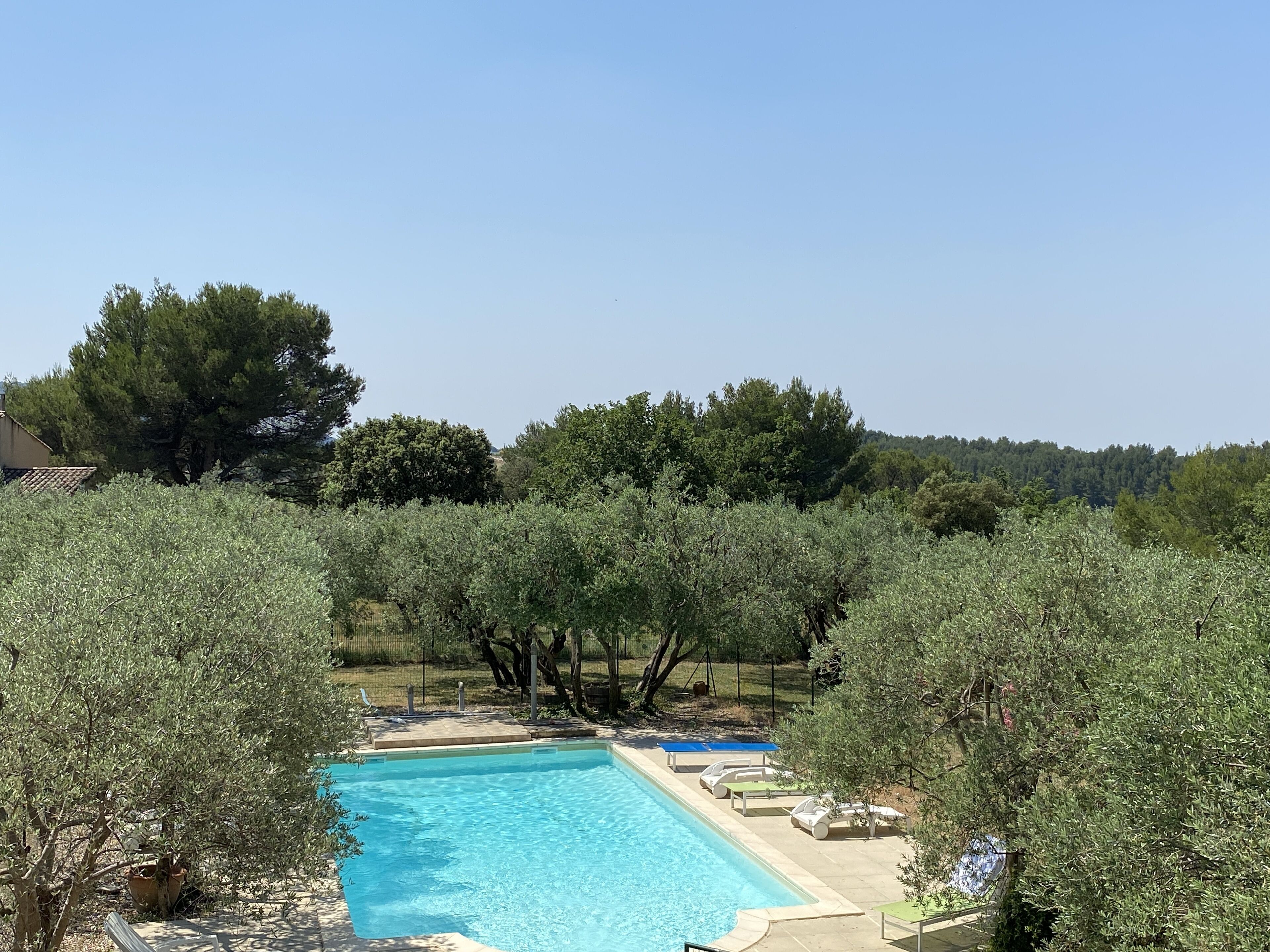 Una piscina rectangular amb una superfície d'aigua blava cristal·lina, envoltada d'oliveres i una zona verda.