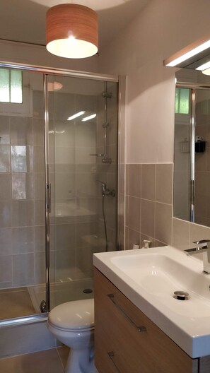 Shower, hair dryer, soap, toilet paper