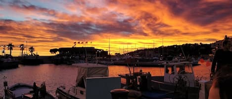 Marina