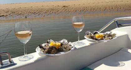 Wood chalet with garden 3 miles away from the Pyla dune and Arcachon