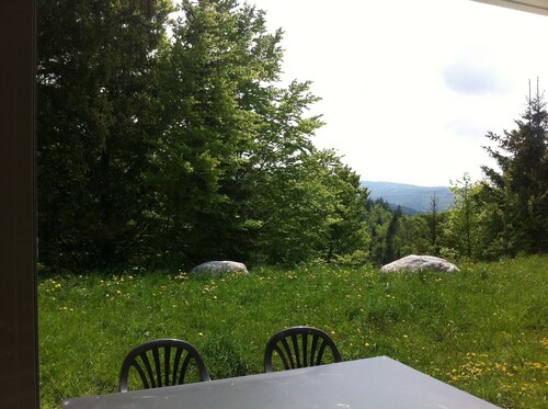 Superbe duplex exposition sud-ouest de 95 m2 au coeur du Haut Jura ( 39 ).