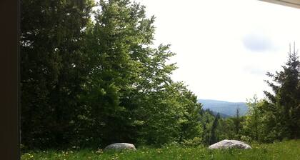 Superbe duplex exposition sud-ouest de 95 m2 au coeur du Haut Jura ( 39 ).