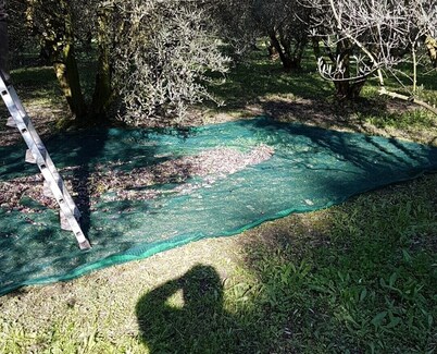 House located in the countryside