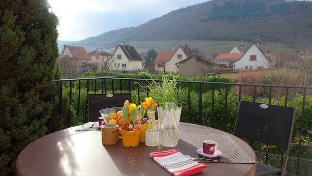 A round table with a metal chair, a vase with flowers, a pitcher, and a cup on a balcony overlooking houses and hills. - 3 Storks, House 9 acres, Alsace Centre (Châtenois)