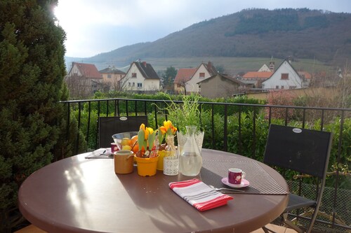 Les 3 Cigognes, Maison en plein Centre-Alsace aux abords de la Route des Vins