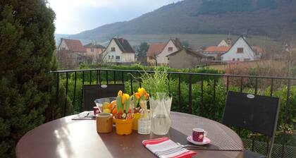 Les 3 Cigognes, Maison en plein Centre-Alsace aux abords de la Route des Vins