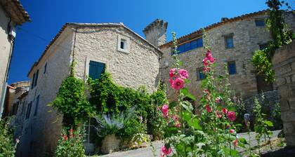 Viehättävä maalaistalo, lämmitetty uima-allas, Caseneuve Provence, Luberon-puiston sydän