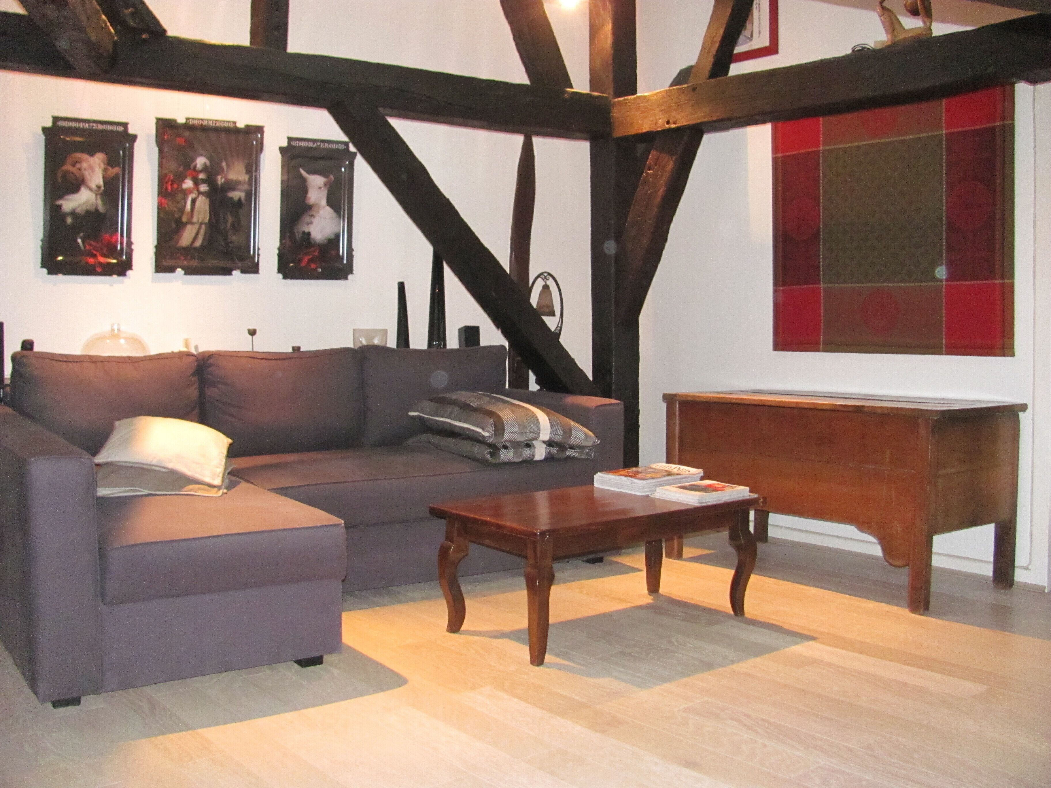 Hypercentre apartment - Vieux Tours / historic center - 2 bedrooms