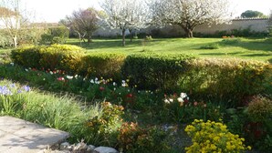 A garden with various flowers and a stone wall in the background. - House 10km from La Rochelle (Marsilly)