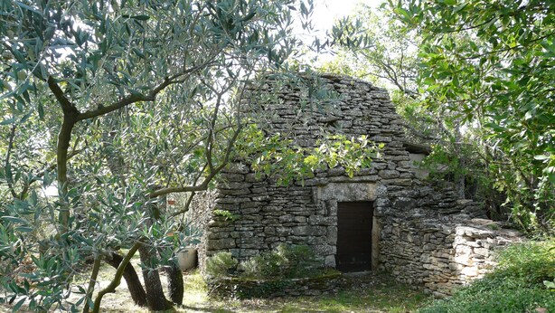 Un bâtiment en pierre avec une porte en bois, entouré d’arbres et de verdure.