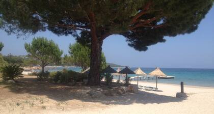 Superb high standing villa Pinarellu