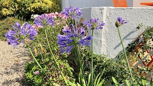 A garden with purple flowers, a white building, and a stone wall. - Small house, air conditioning and shaded garden, in a quiet area near the beach (Fleury)
