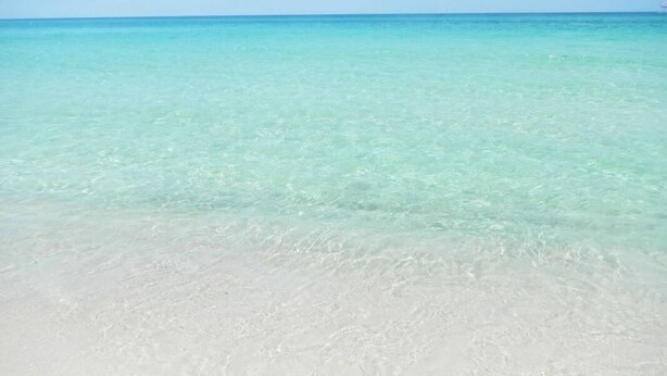 Une plage à l’eau turquoise et limpide et au sable blanc.