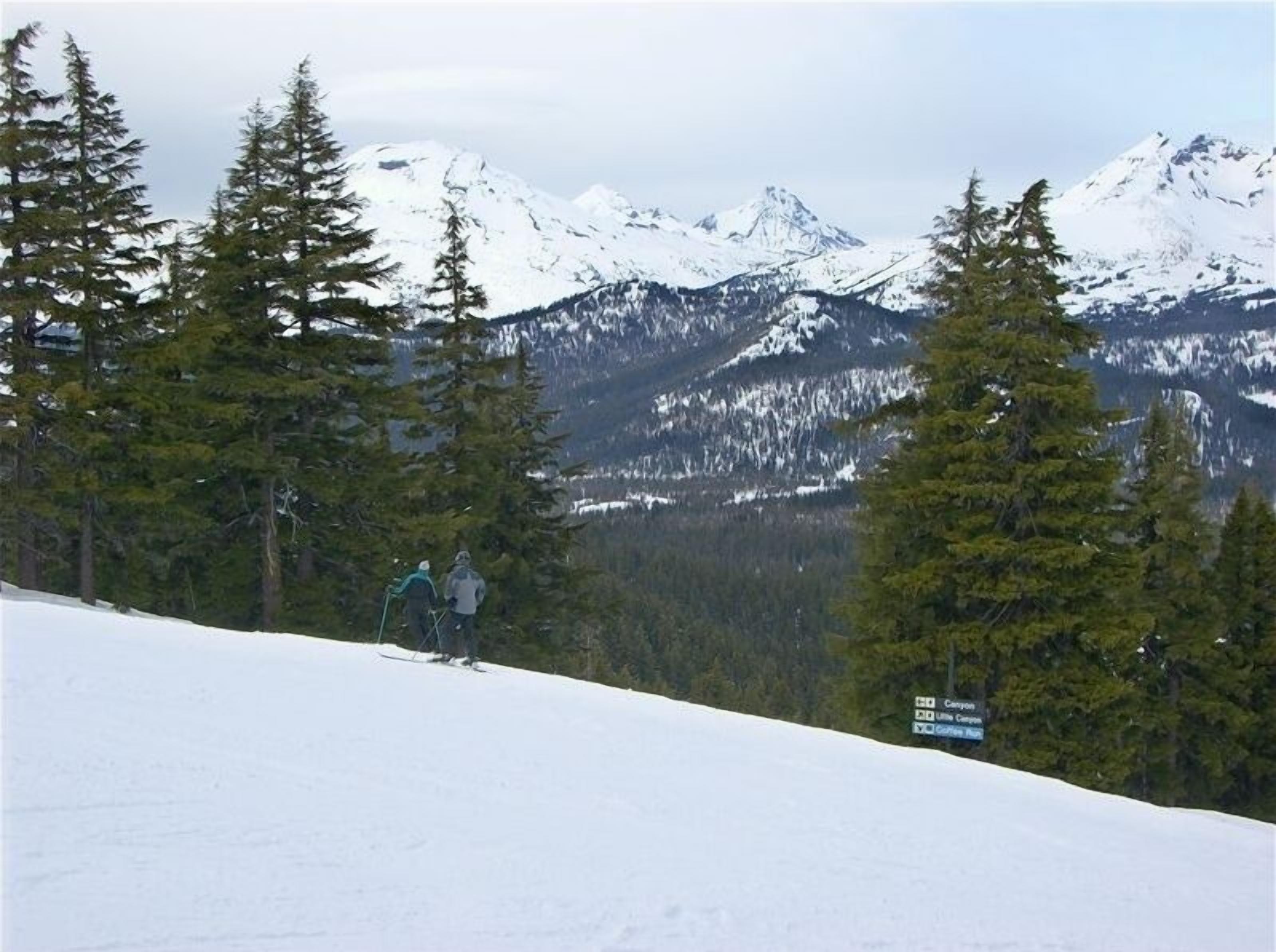 A snowy mountain landscape with a ski slope, trees, and a sign indicating directions to nearby locations.