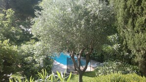 Une piscine entourée d’une végétation luxuriante et d’arbres.