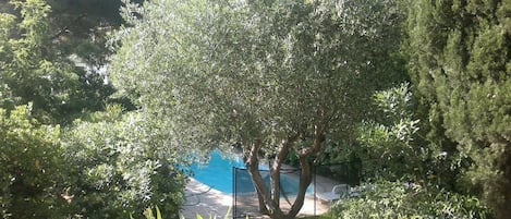 AuĂenpool