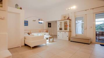 智能电视、DVD 播放器、书、音乐库