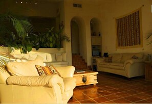 Smart TV, chimenea, reproductor de DVD y videoteca 