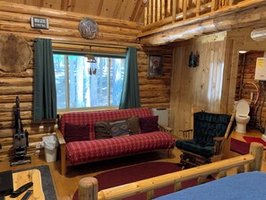 TV, DVD player, video library, stereo