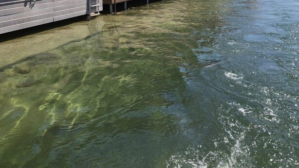 A waterfront property with a covered patio, a pool, and a dock extending into the water.