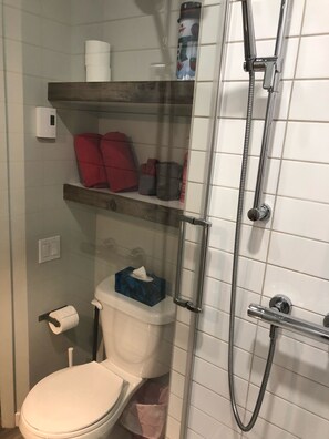 Hair dryer, towels, soap, shampoo
