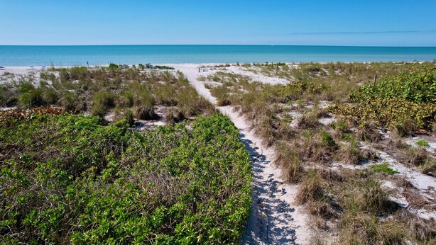 A beach with a clear path leading to the water, surrounded by dense vegetation. - Charming Cabana Beach Club #8 - Your Coastal retreat Awaits!#9 also available. (Longboat Key)