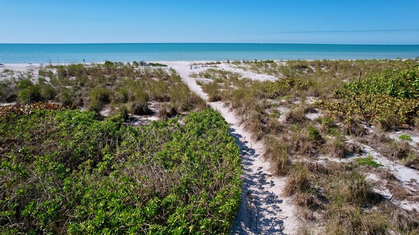On the beach, sun loungers, beach towels - Charming Cabana Beach Club #8 - Your Coastal retreat Awaits!#9 also available. (Longboat Key)