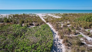 Una playa con un sendero despejado que lleva al agua, rodeada de vegetación exuberante.