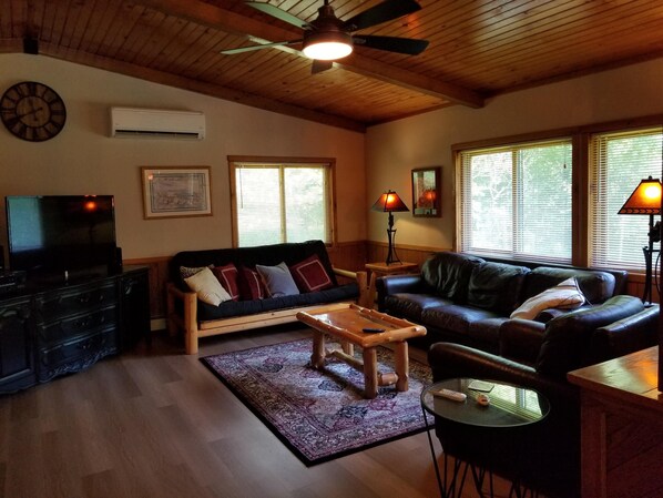 Smart TV, chimenea, reproductor de DVD y libros 