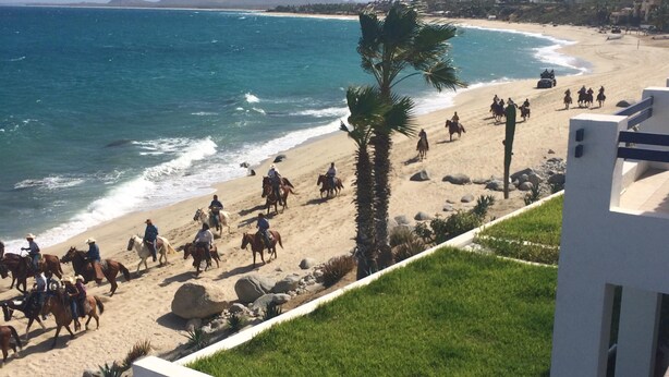 A beach with people riding horses, a clear blue sky, and a view of the ocean. - Beachfront Condo, Summer Special, 154 u.s.  per night!!!!!!! (Beauna Vista)
