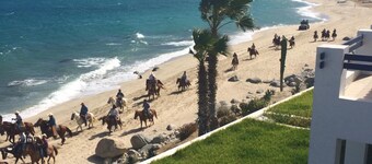 Beachfront Condo, Summer Special, 154 u.s.  per night!!!!!!!