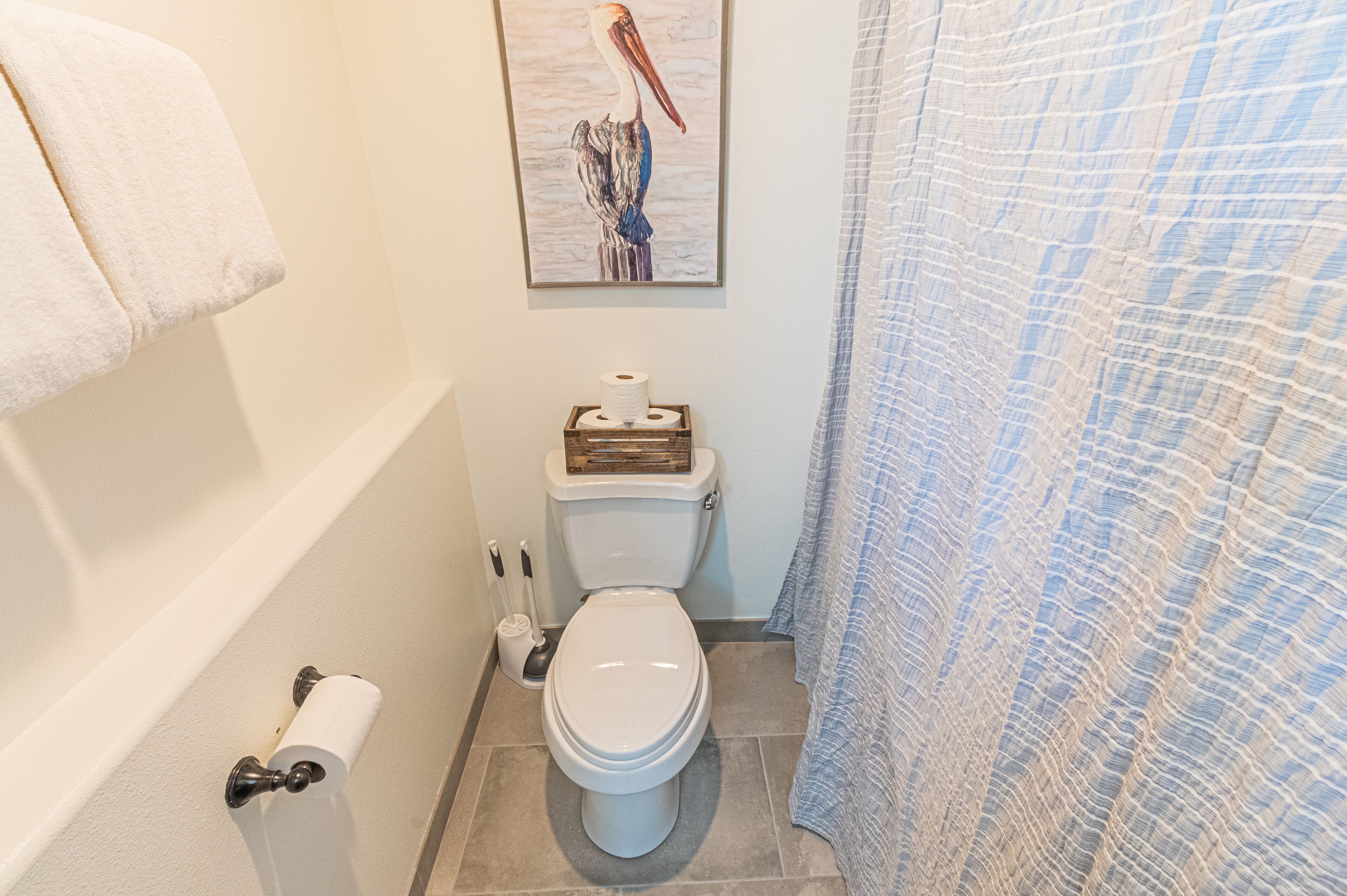 A bathroom with a toilet, a roll of toilet paper, a plunger, and a shower curtain.