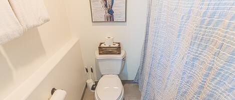 A bathroom with a toilet, a roll of toilet paper, a plunger, and a shower curtain.