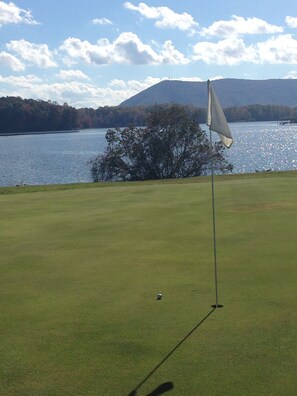 Golf - Walls Of Glass Overlook Tranquil Deep Water Cove - Incredible Mid-Lake Location (Moneta)