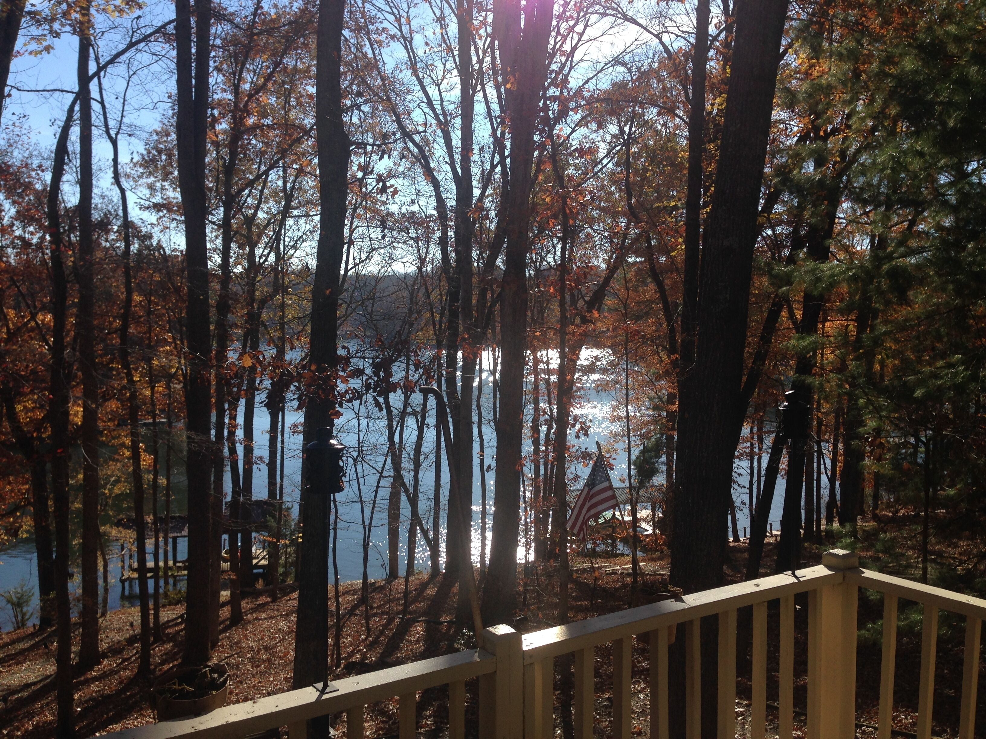 Walls Of Glass Overlook Tranquil Deep Water Cove - Incredible Mid-Lake Location