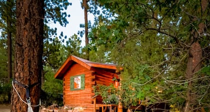 La Plata Mountains Bunkhouse - kodikas / mukava / taloudellinen